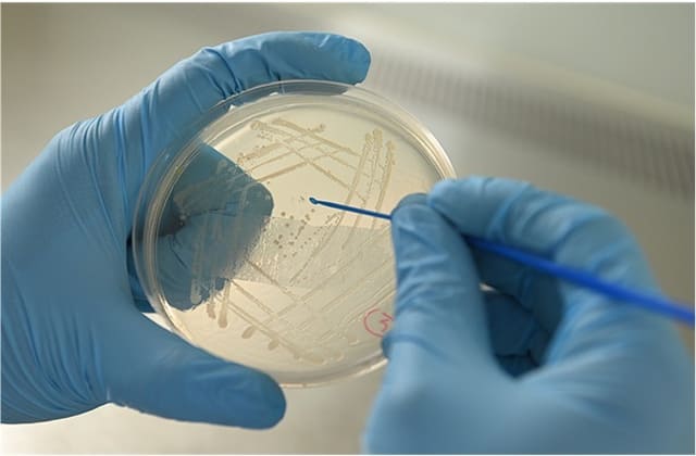 液冷系统微生物污染检测